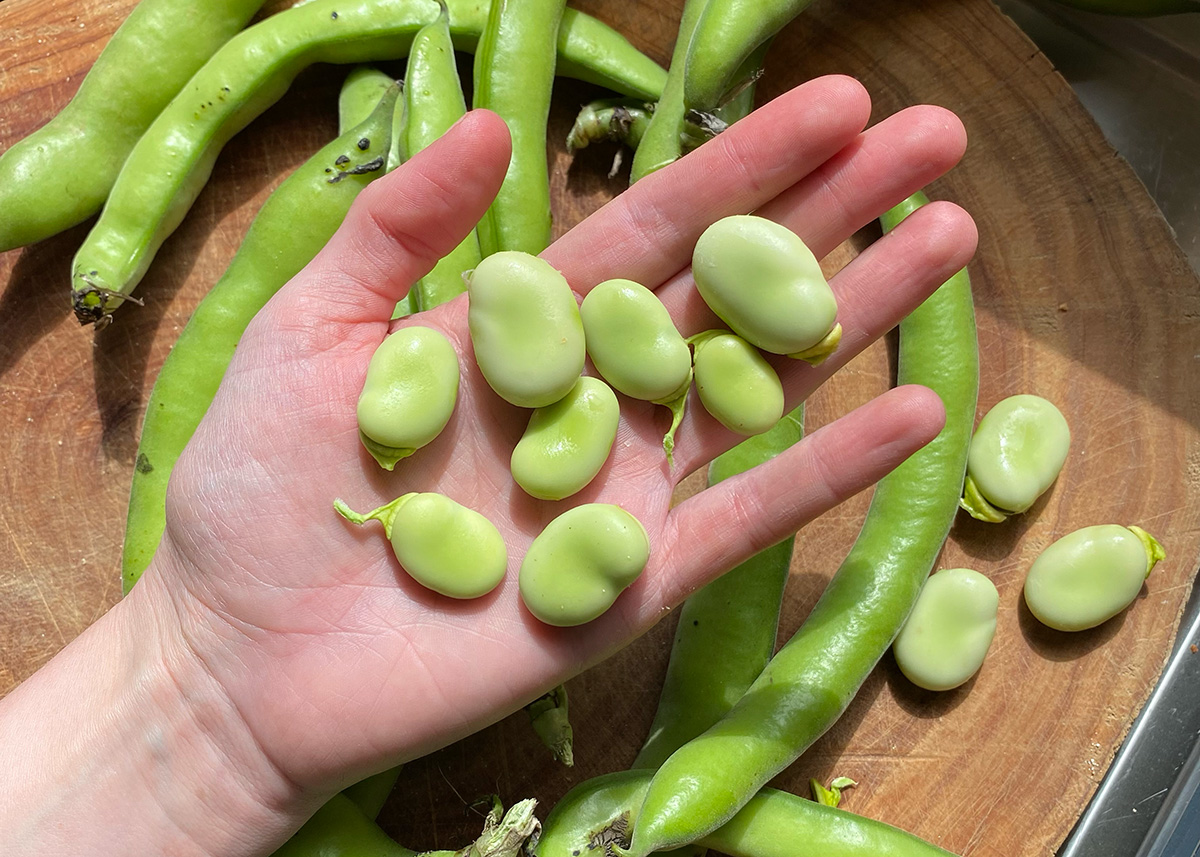 Broadbean Bruschetta