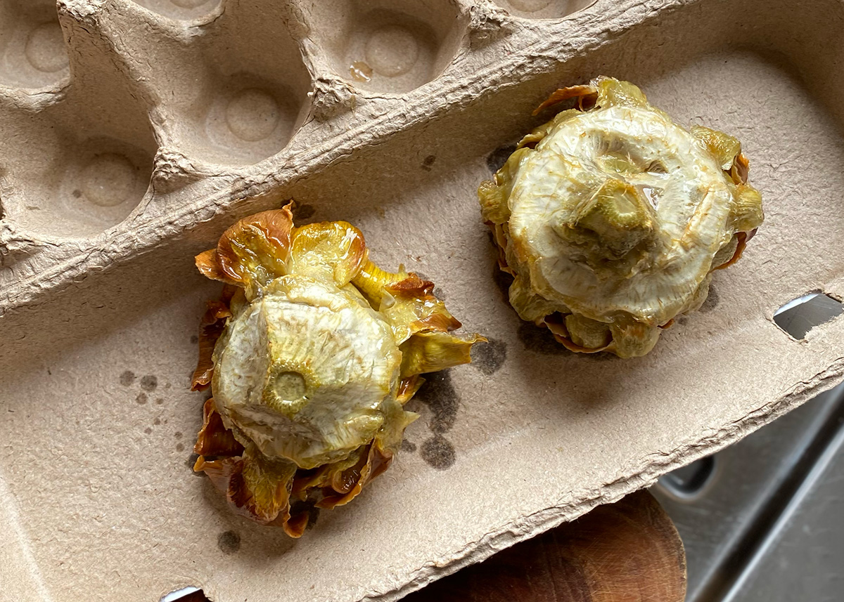 Fried Artichokes, Carciofi Alla Giudia