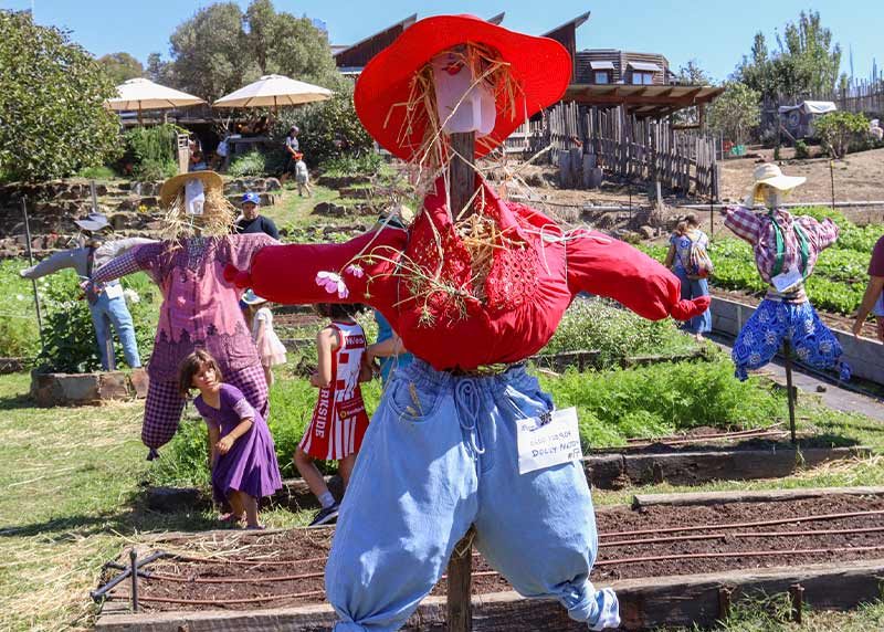 CERES Harvest Festival scarecrows