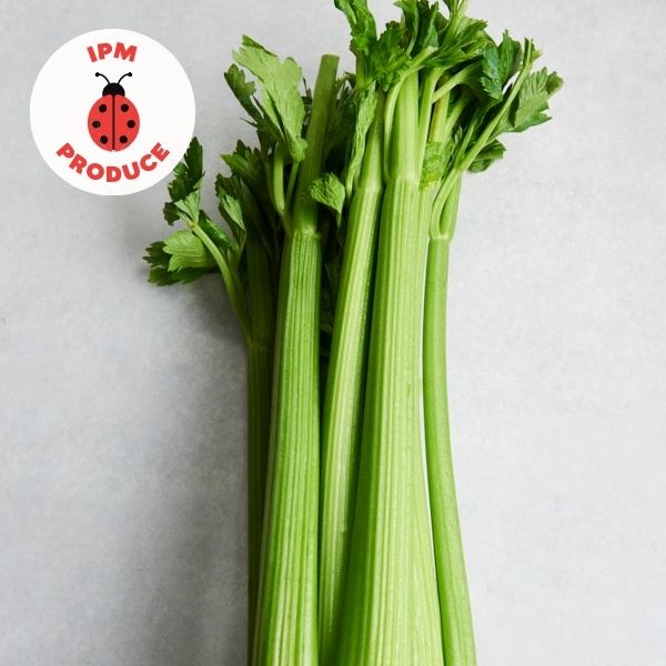 IPM celery, CERES Fair Food online store