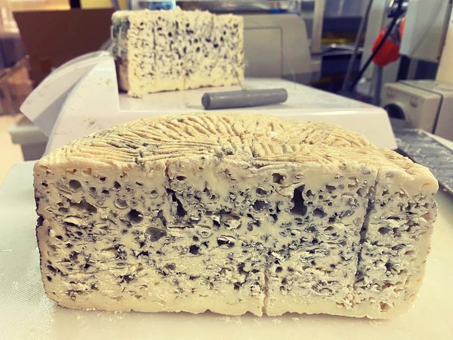 Grandvewe Cheese Sapphire Blue