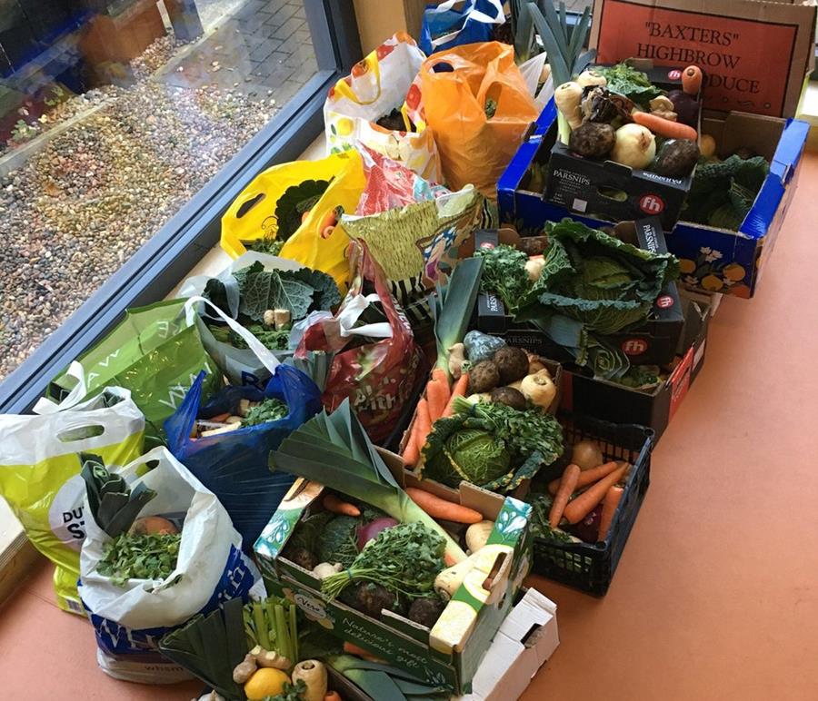 A floor piled high with random boxes and bags of mixed fruit and veg, likely source of Veg Box Shame.