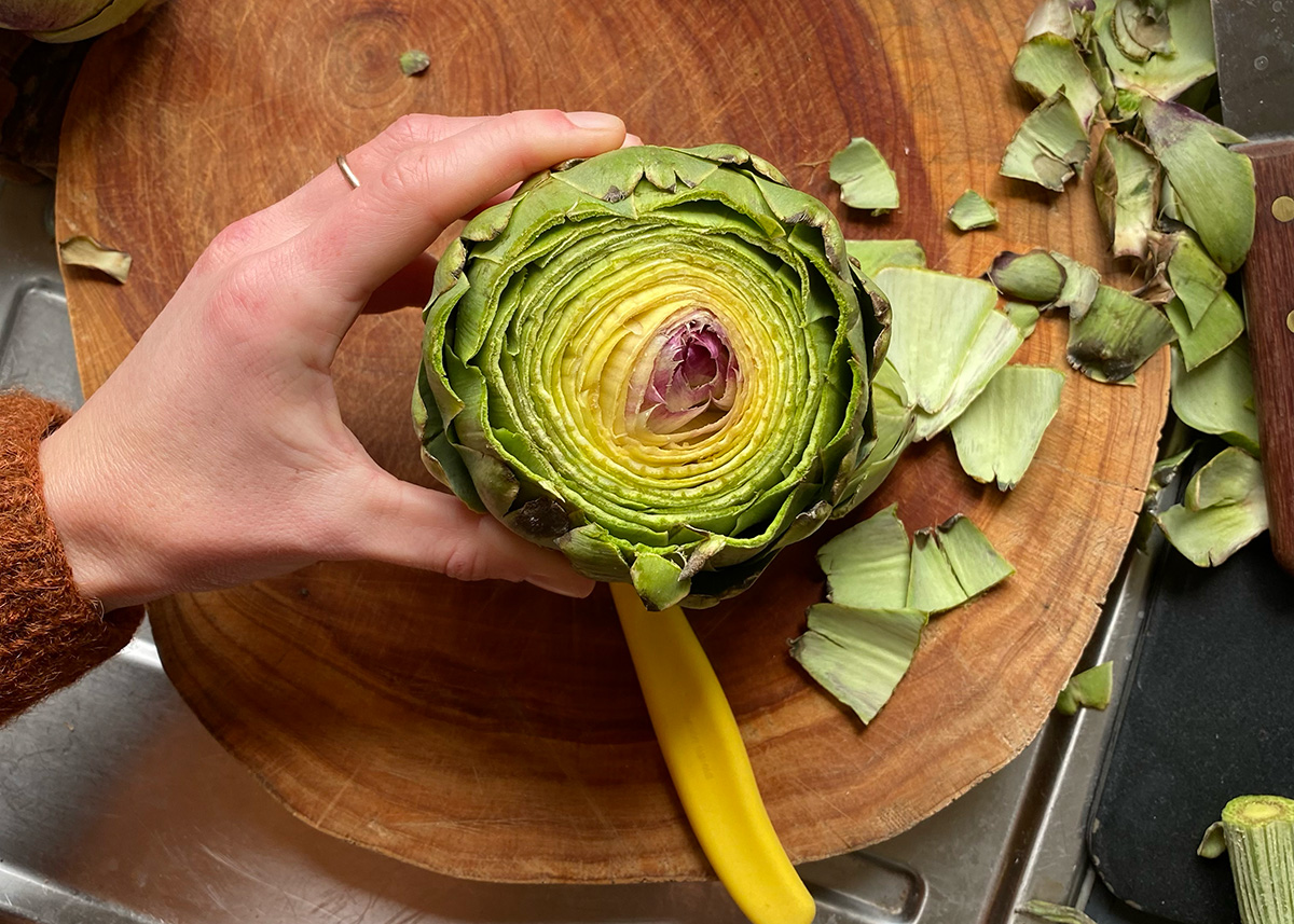 Steamed Globe Artichokes 