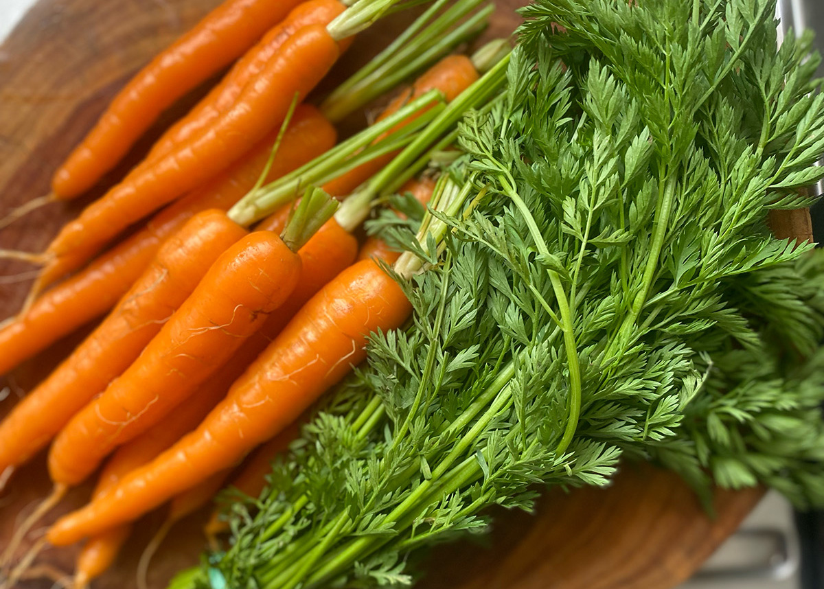 Carrot top pesto 