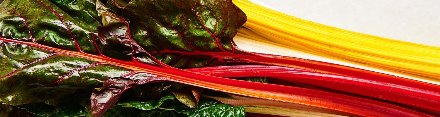 Rainbow chard banner - CERES Fair Food