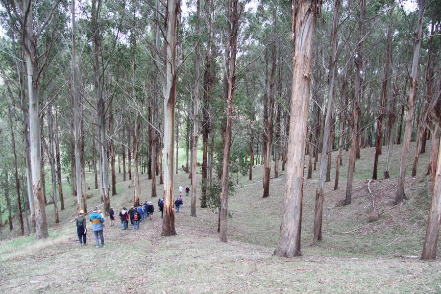 CERES Fair Wood tour of timber property, Frank Hirst