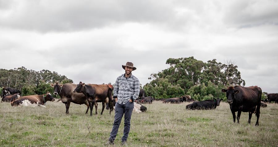 Simon Schulz with cows on the farm