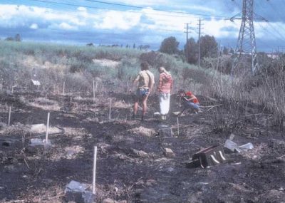 CERES Brunswick site, planting under powerlines - 40 years of CERES archive.