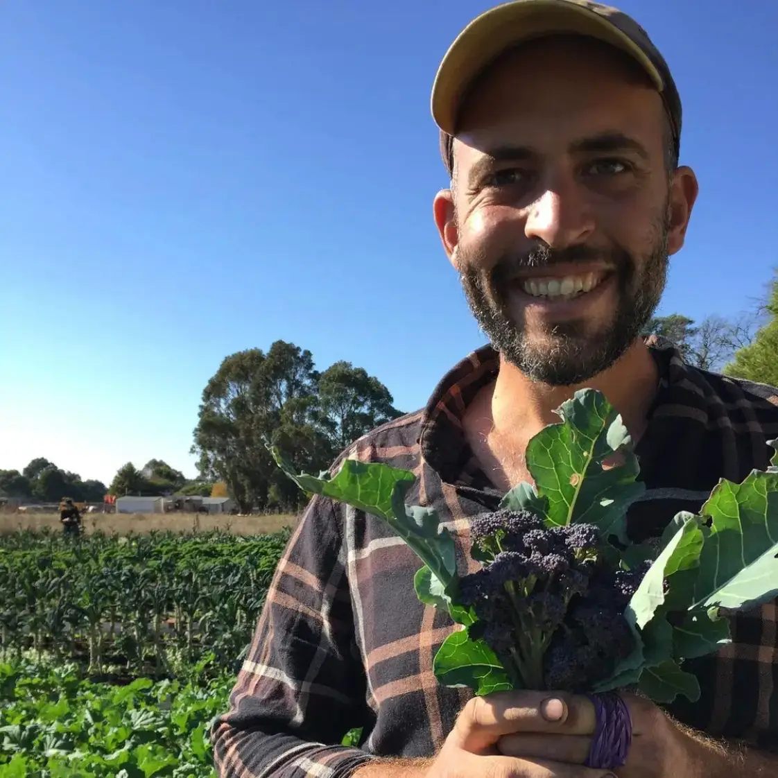 Remi's Patch, organic market garden