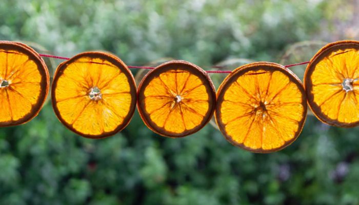 Dried orange festive garland